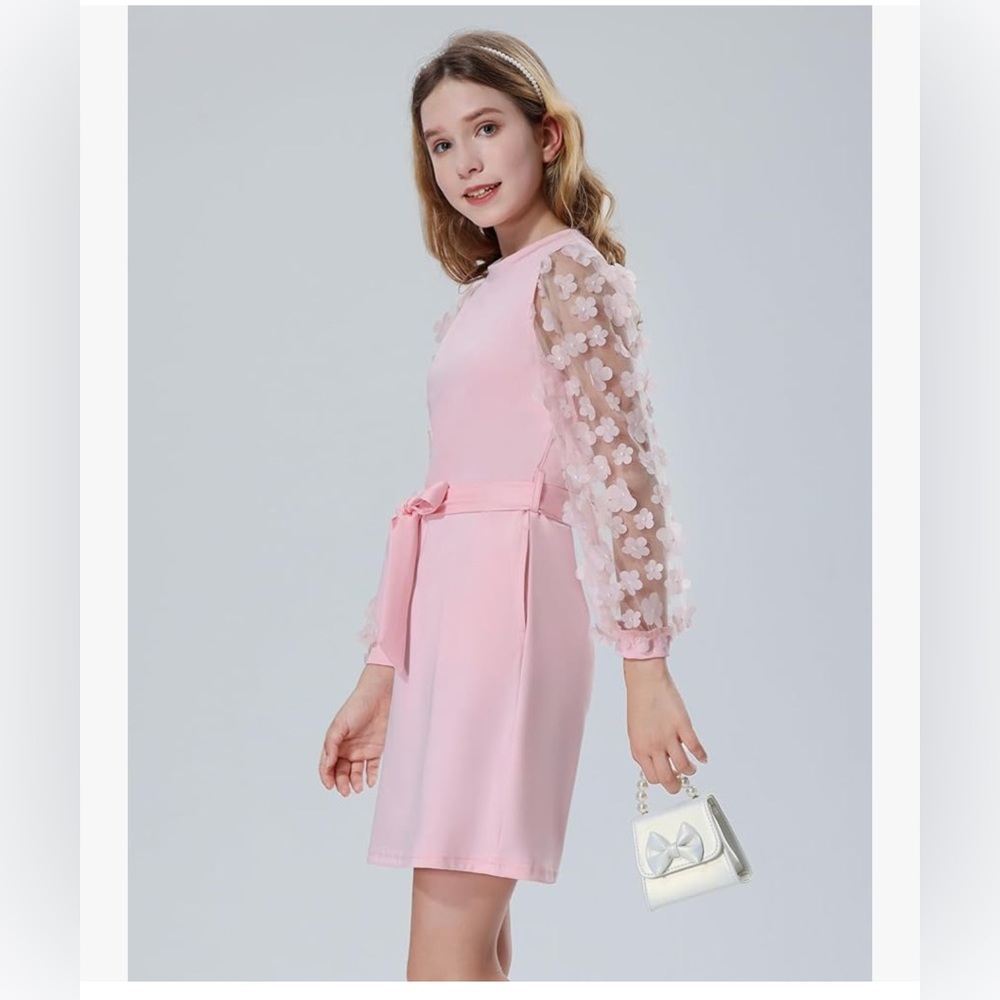 Girls Appliques Mesh Sleeve Dresses with Puff Sheer Long Sleeve Belted Dress 9T